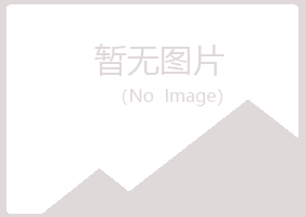 大连中山匆匆服务有限公司